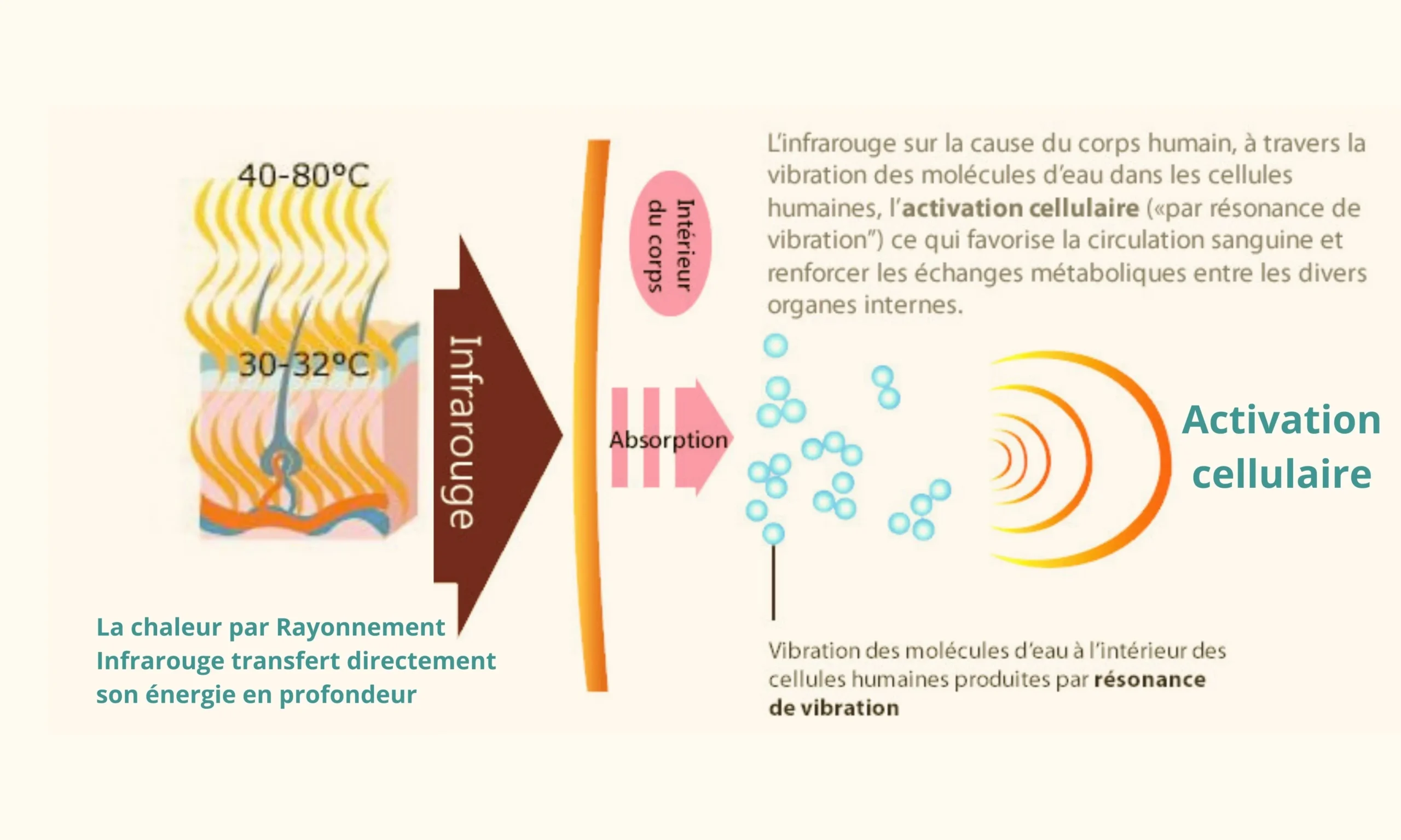 L'effet de l'infrarouge