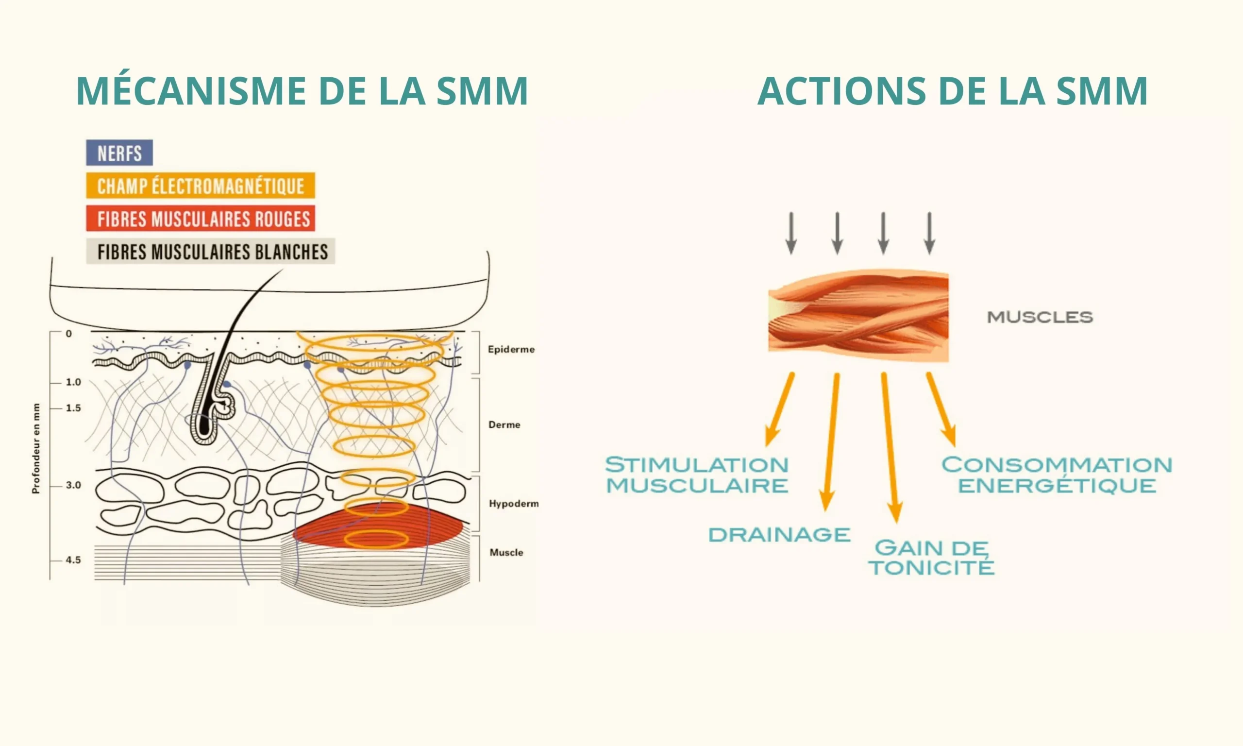 Les bienfaits de LA SMM